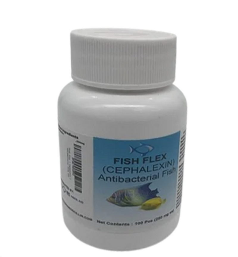 Fish Ceph 250mg 100-Capsules