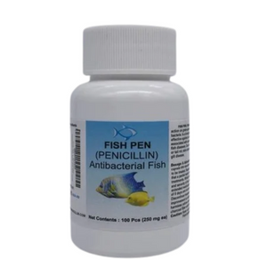 Fish Penicillin 500mg 60-Capsules - Happy Minutes Easy Shopping