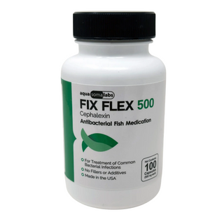Fish Ceph 500mg 30-Capsules