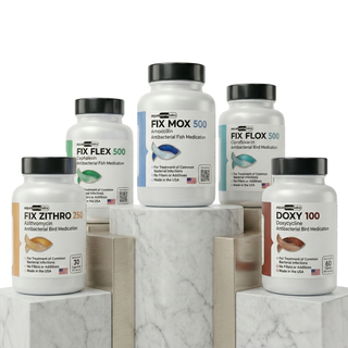 Best Seller Fish Antibiotics Package - 5 Products