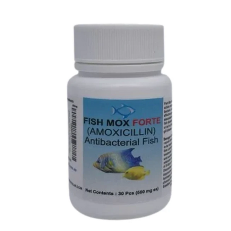 Fish Mox 500mg - 30 count