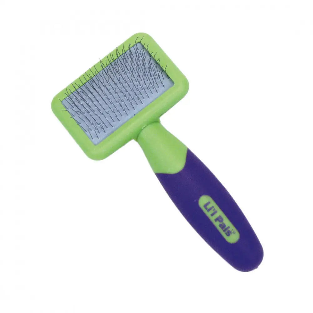 Cat Brushes Combs