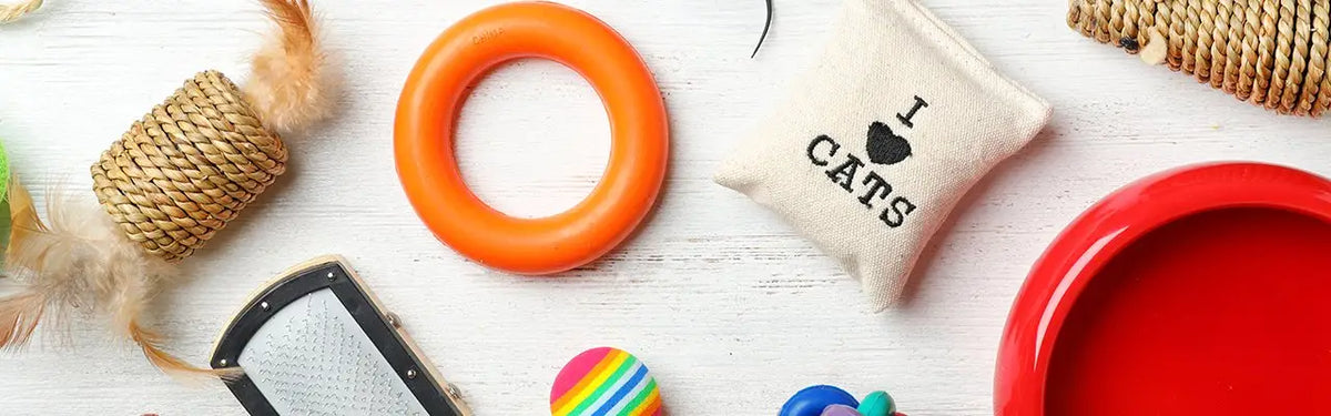 Cat Chase Toys