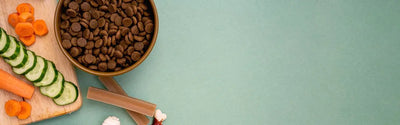 Dog Food