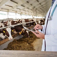 Farm Animal Medications