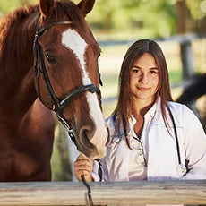 Horse Medications