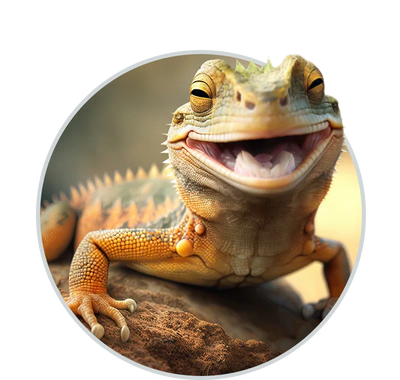 Reptile Amphibian Products