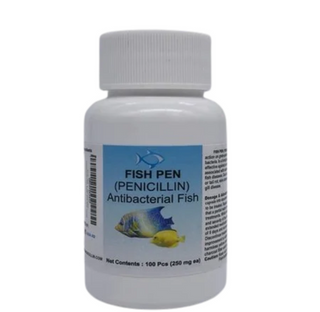 Fish Penicillin 500mg 60-Capsules