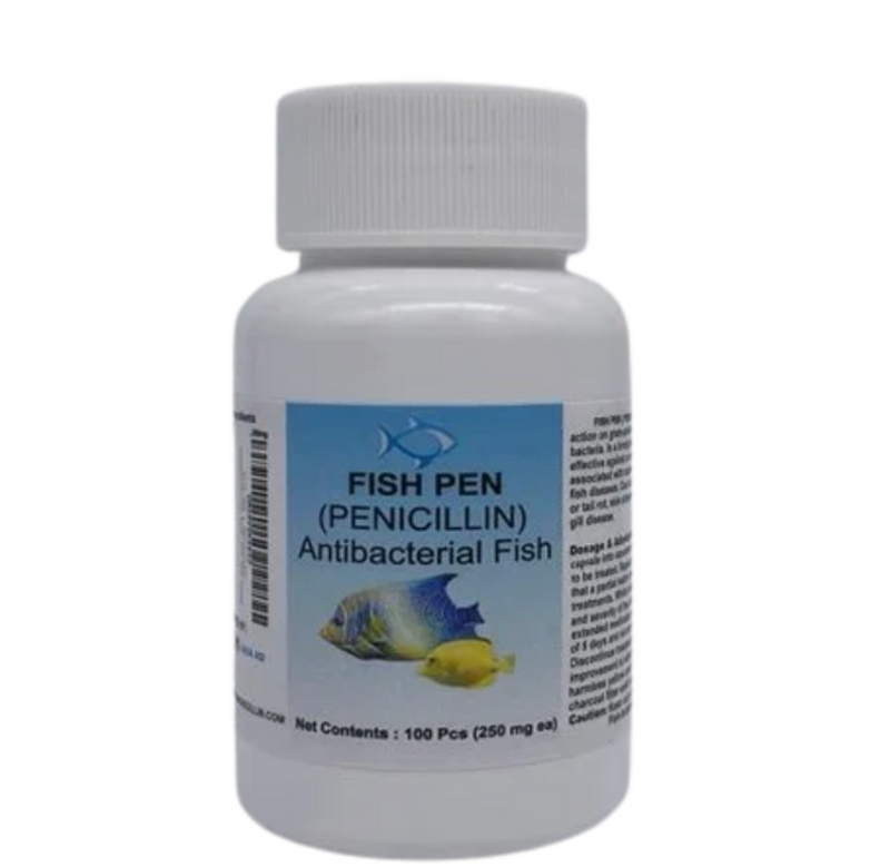 Fish Penicillin 500mg 60-Capsules