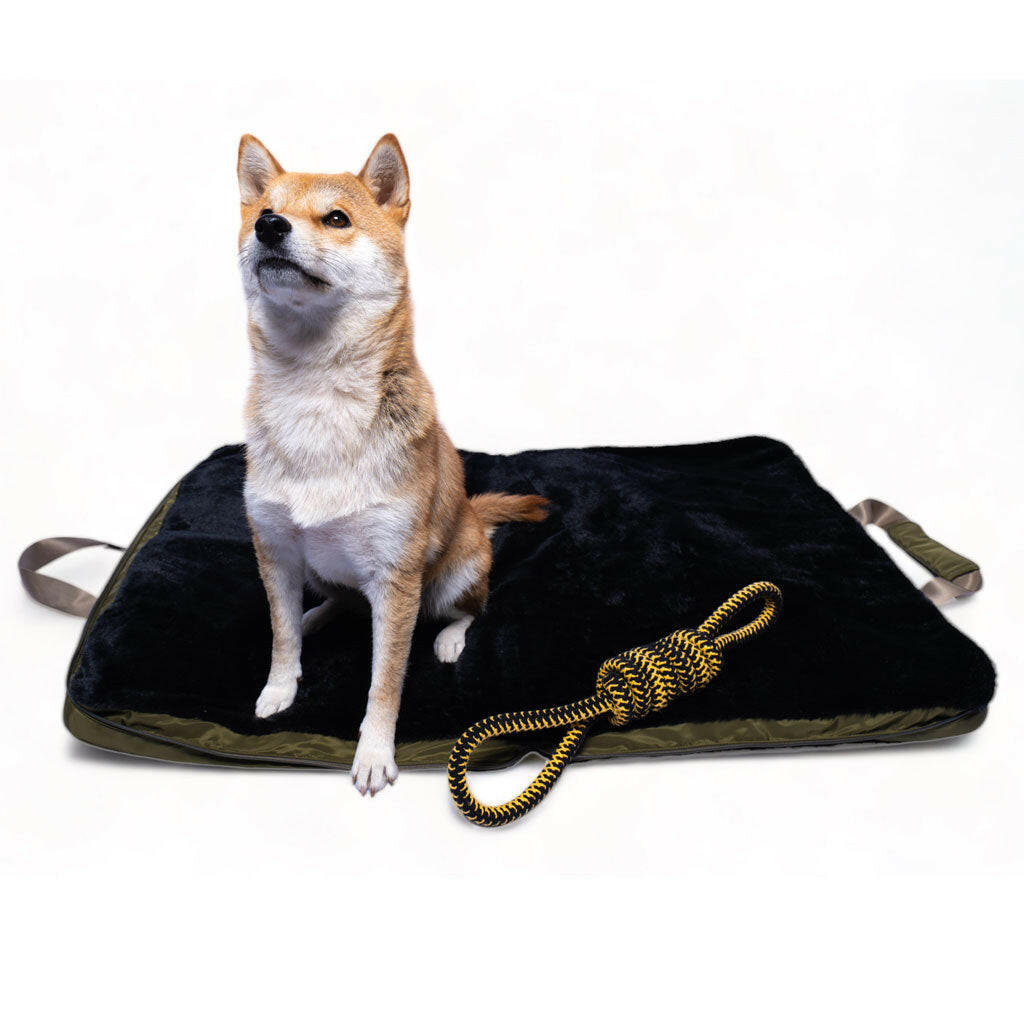 4 Cats & Dogs Gus Travel Bed