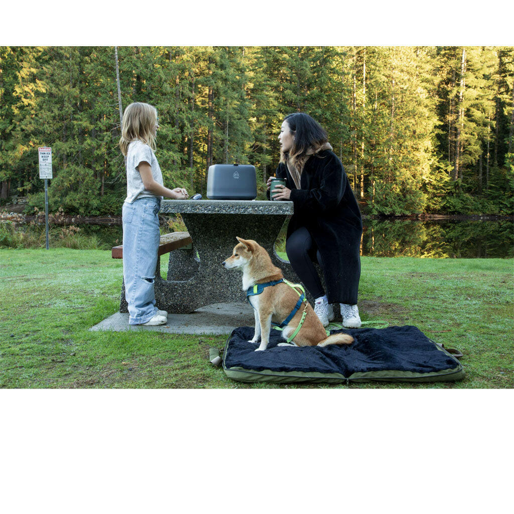 4 Cats & Dogs Gus Travel Bed