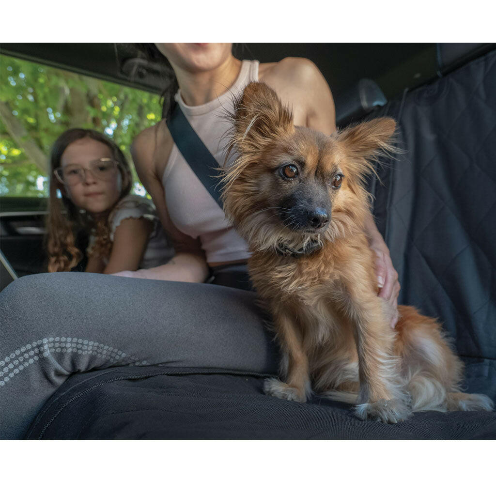 4 Cats & Dogs Jet Seat Jacket Car Seat Protector