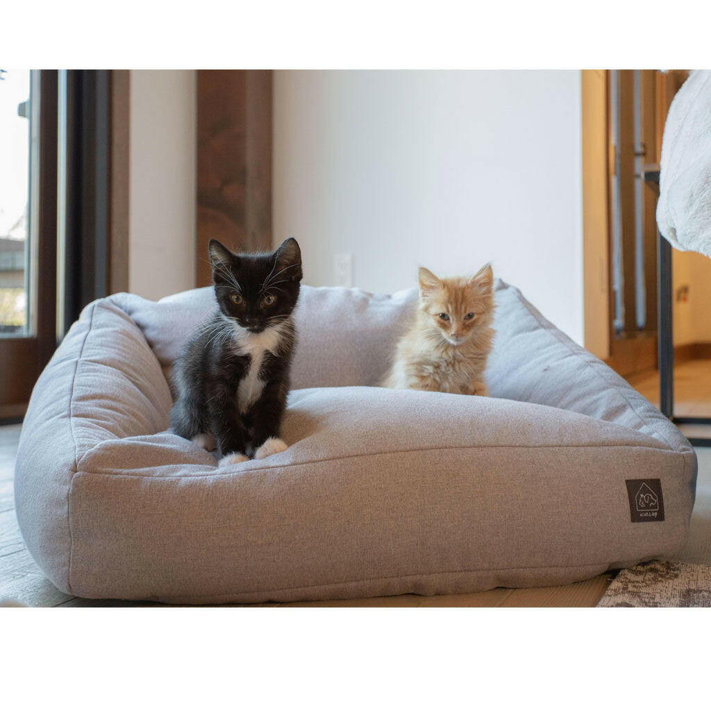 4 Cats & Dogs Loafer Sofa Bed, Carbon, 23.5x22.5"