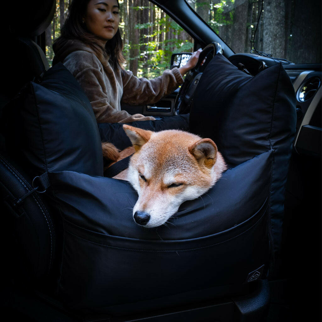 4 Cats & Dogs Marco Car & Travel Bed, 18.5x21"