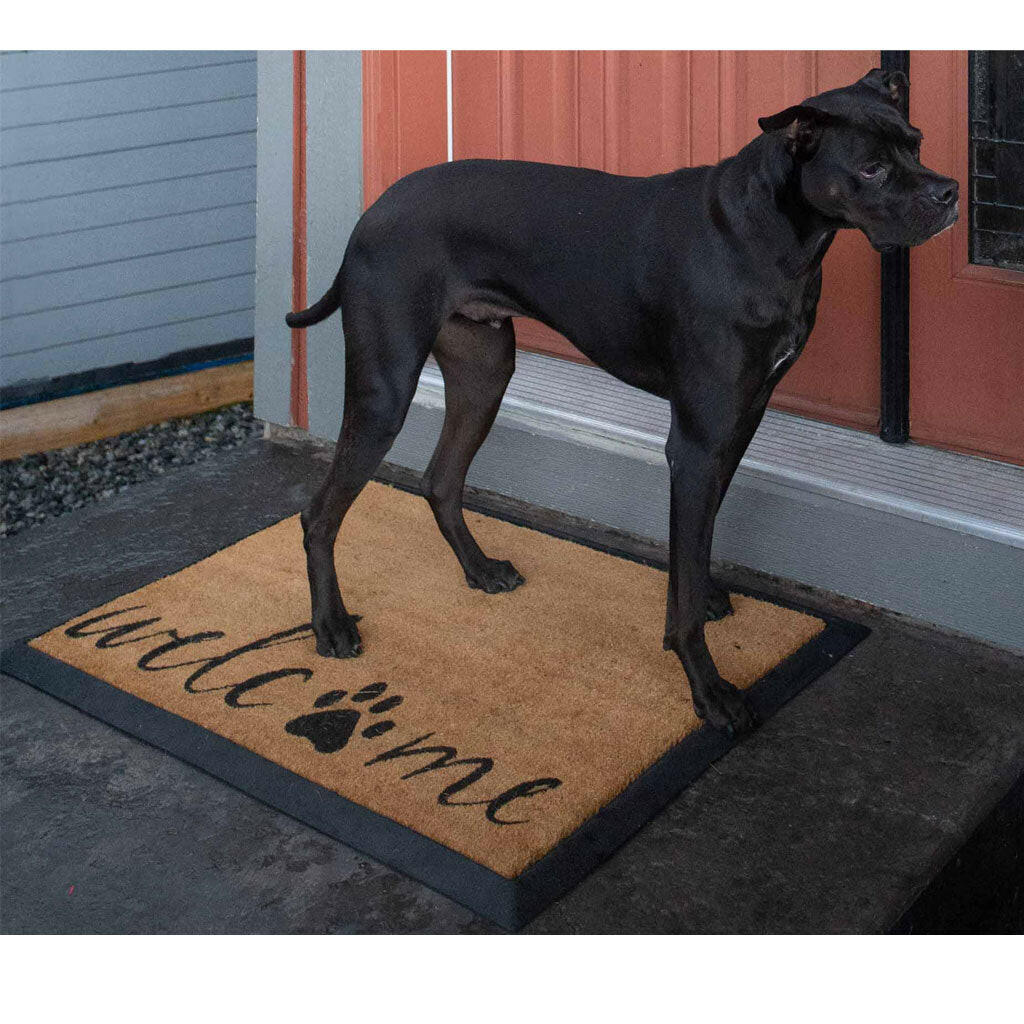 4 Cats & Dogs Meowtini Home Rectangular Entrance Mat