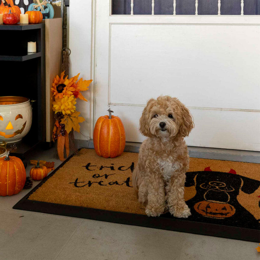 4 Cats & Dogs Muttarita Home Rectangular Entrance Mat