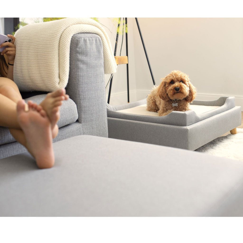 4 Cats & Dogs Otto Pet Bed Ottoman, Grey