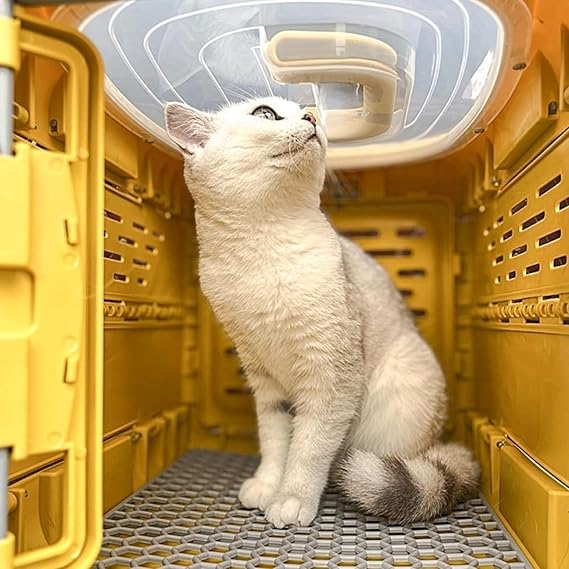 Foldable animal transport box – Discount Pets