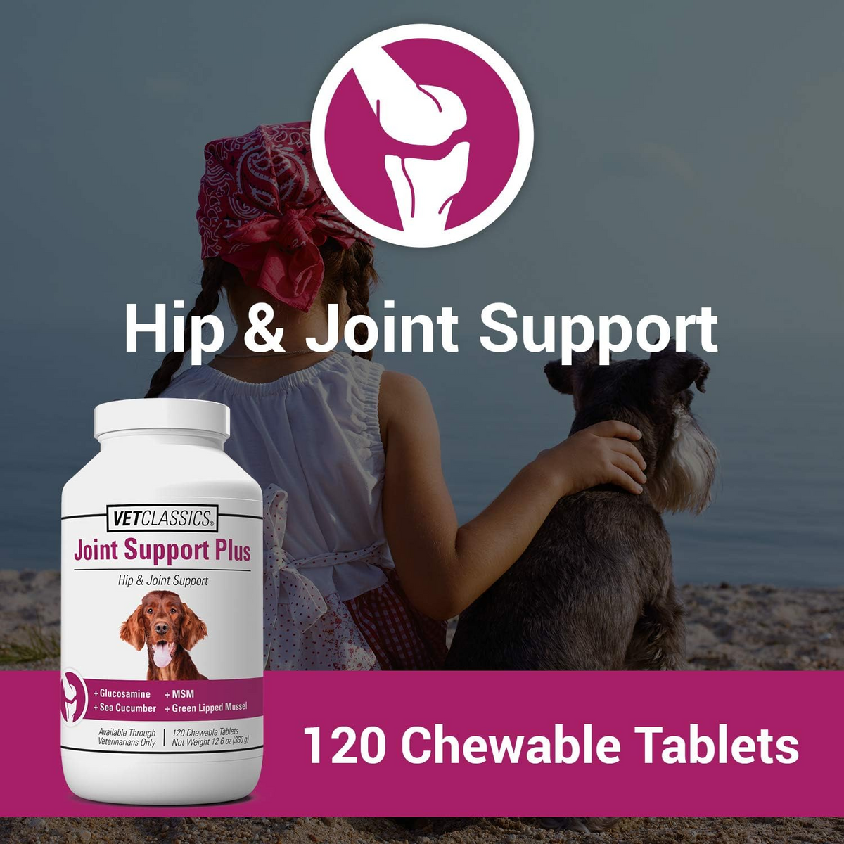 Vet Classics Joint Support Plus for Dogs (120 Chew Tabs)