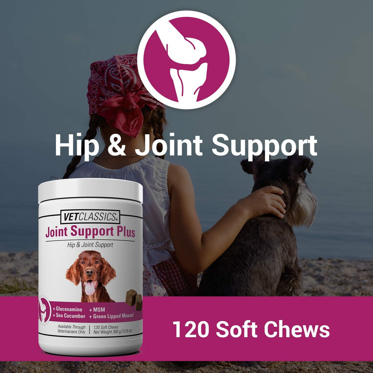 Vet Classics Joint Support Plus for Dogs (120 Soft Chews)