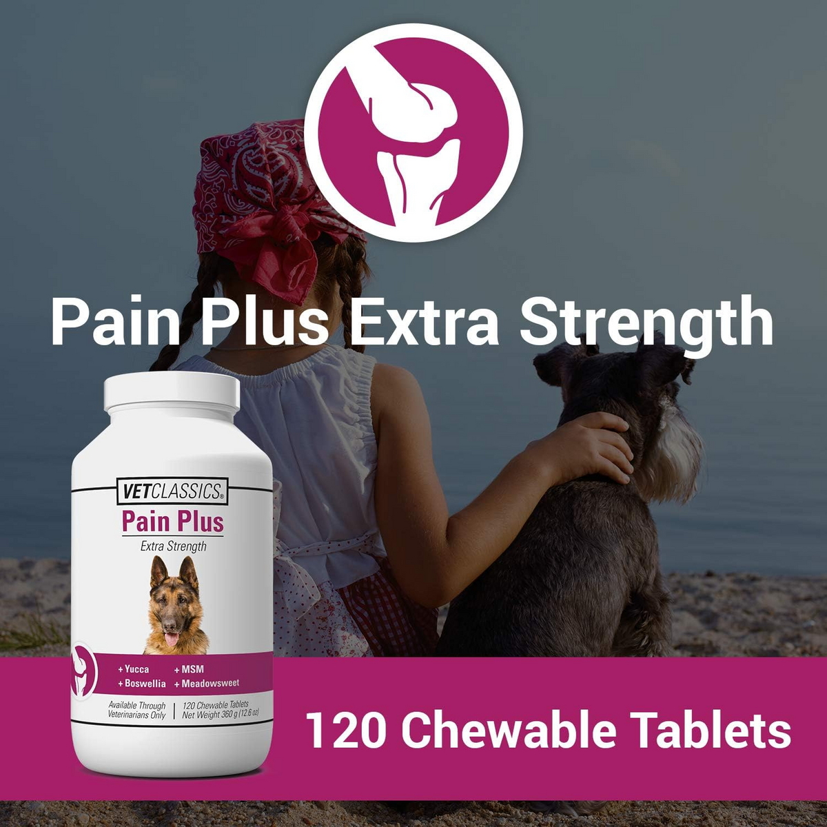 Vet Classics Pain Plus Extra Strength for Dogs (120 Chew Tabs)