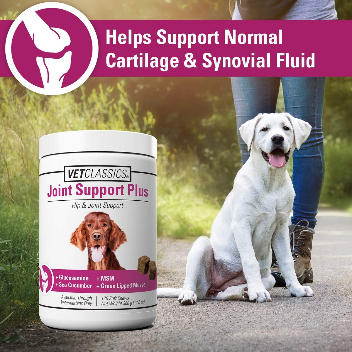 Vet Classics Joint Support Plus for Dogs (120 Soft Chews)