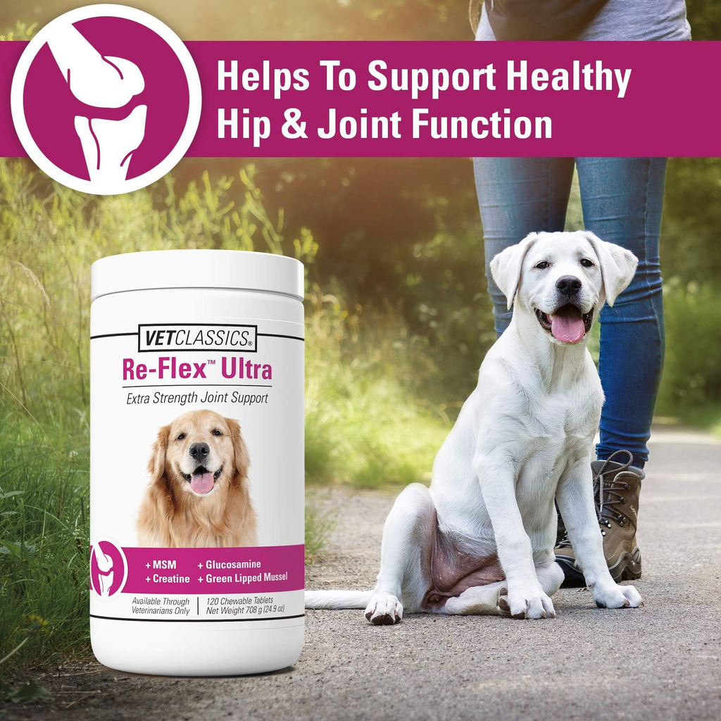 Re-Flex Ultra Strength Joint Support For Dogs (120 Chew Tabs)