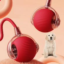 Discount Pets