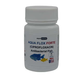 Fish Flox 500 - 30 Capsules