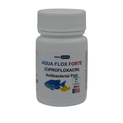 Fish Flox 500 - 30 Capsules - Happy Minutes Easy Shopping