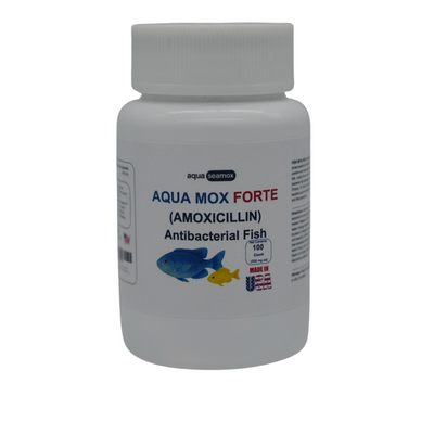 Fish Medication Supplements