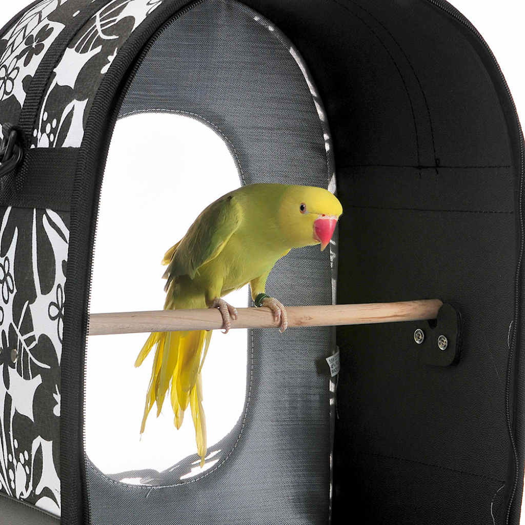 A & E Cages Happy Beaks Soft Sided Voyager Bird Carrier, Black, Small