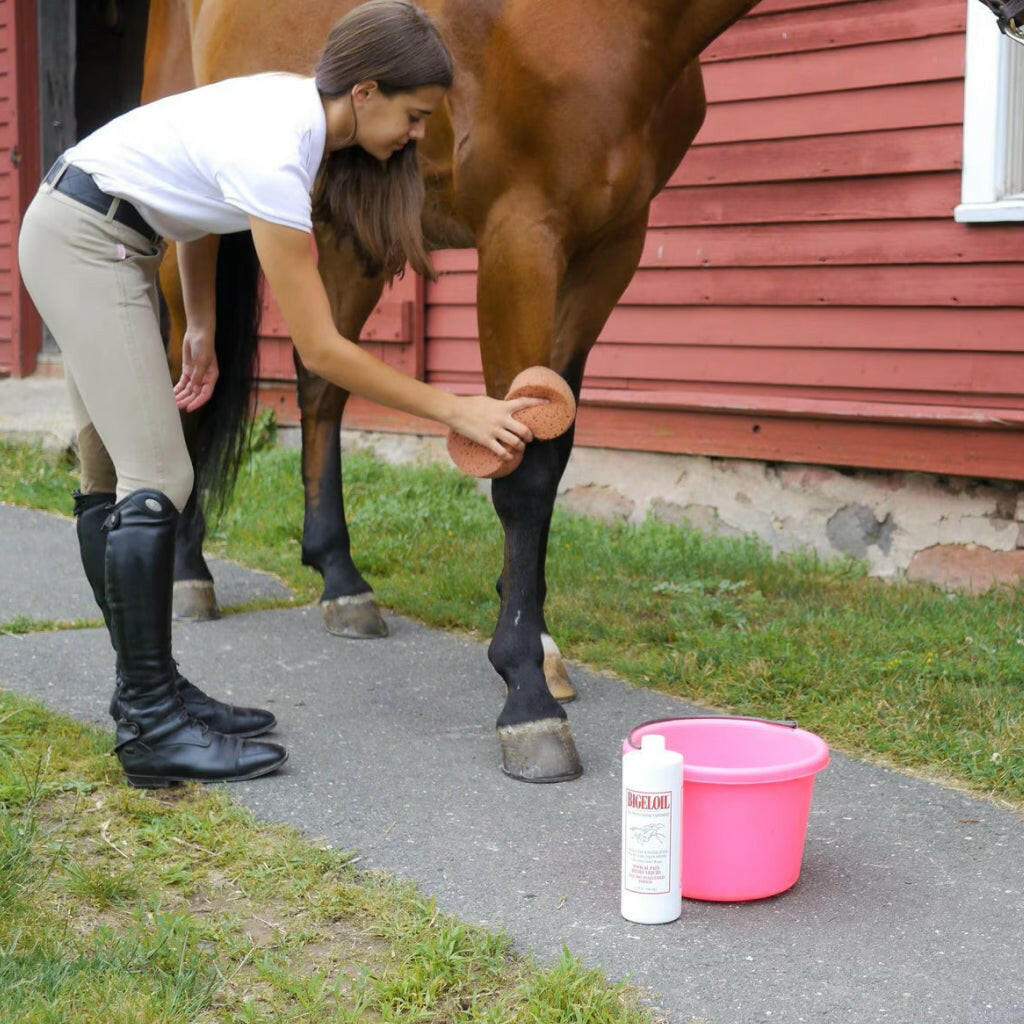 Absorbine Bigeloil Muscle & Joint Pain Relief Liniment Liquid for Horses