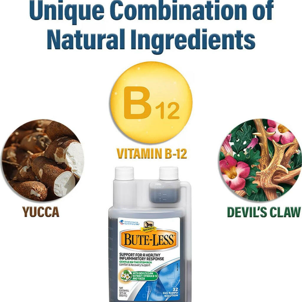 Absorbine Bute-Less Comfort & Recovery Solution Supplement for Horses