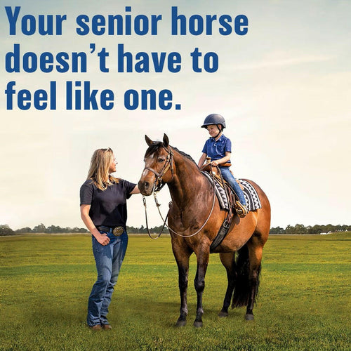 Absorbine Bute-Less Comfort & Recovery Solution Supplement for Horses