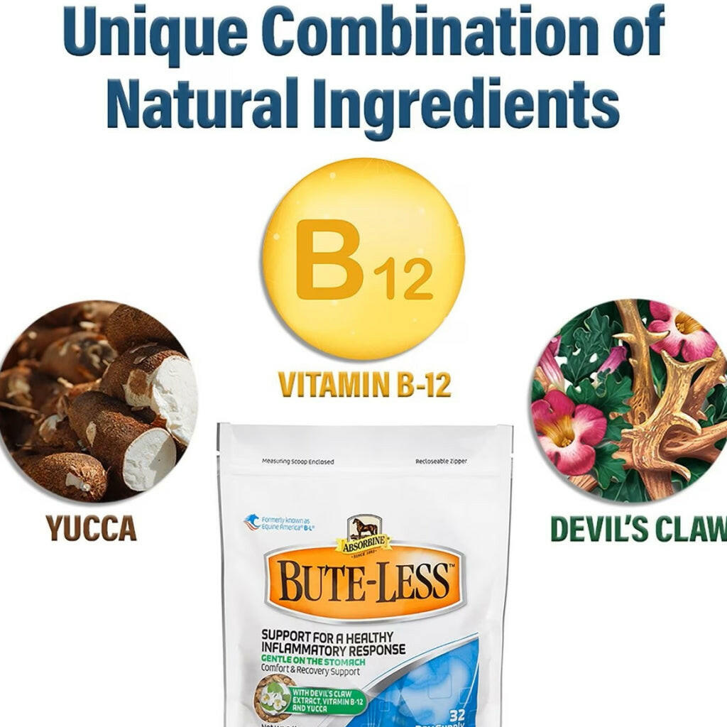 Absorbine Bute-Less Pellets Comfort & Recovery Supplement for Horses