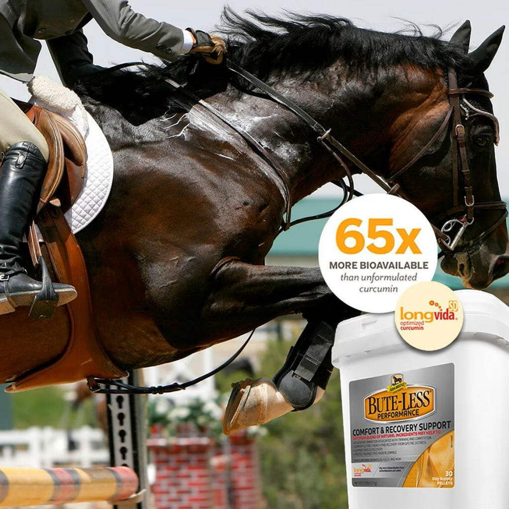 Absorbine Bute-Less Performance Comfort & Recovery Pellets for Horses (3.75 lbs)