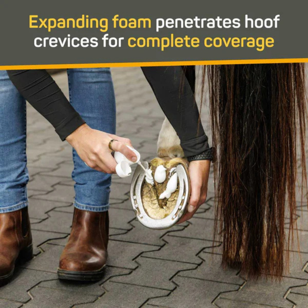 Absorbine Silver Honey Rapid Hoof Care Thrush Foam (200 ml)