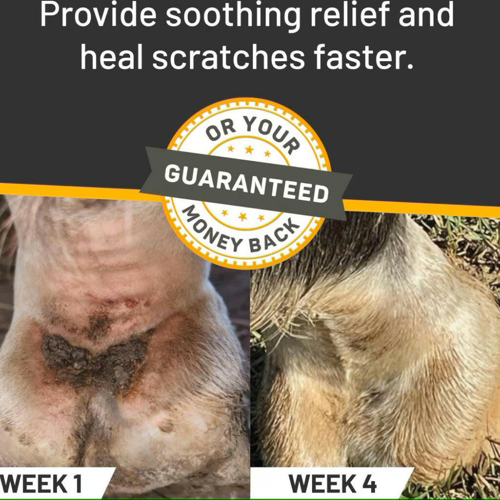 Absorbine Silver Honey Rapid Skin Relief Vet Strength Scratches Spray for Horses