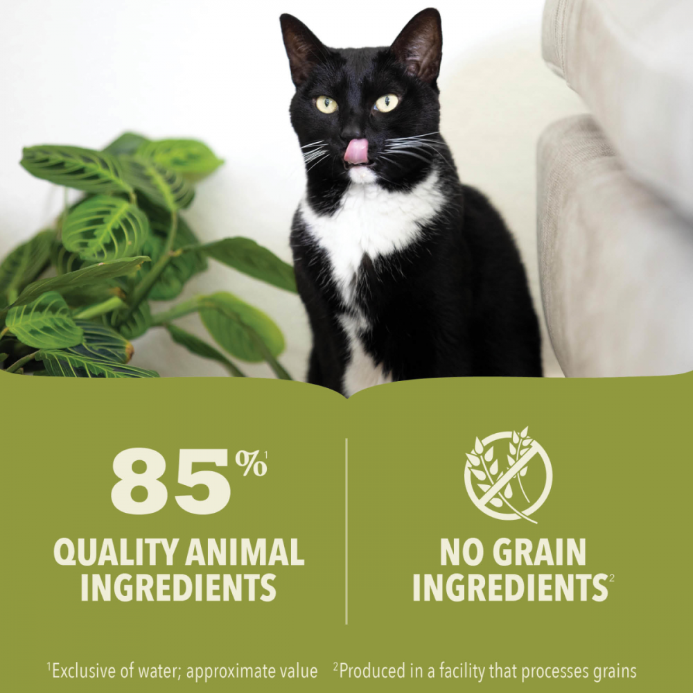 ACANA Chicken & Fish in Bone Broth Wet Cat Food