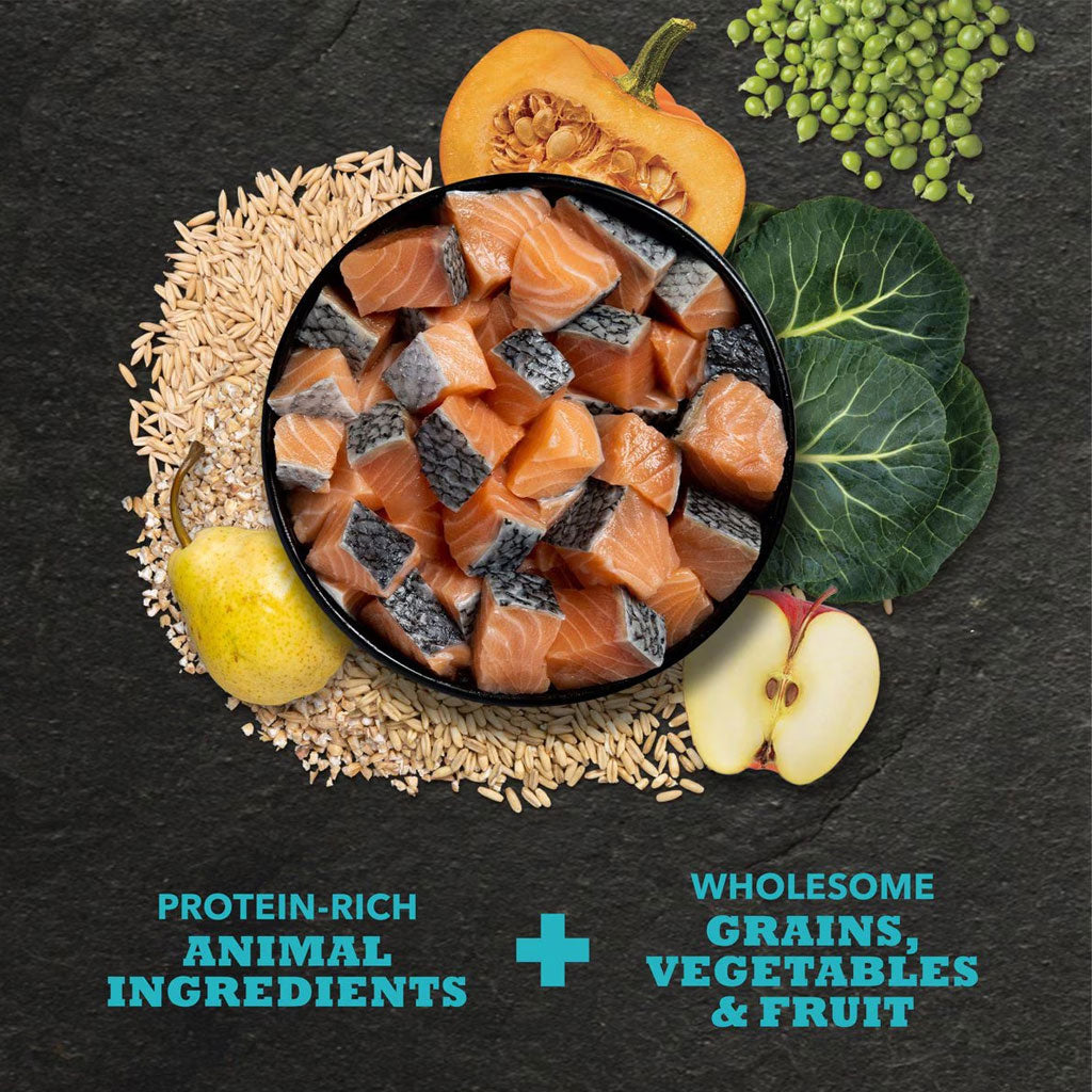 ACANA Classics Salmon & Barley Dry Dog Food