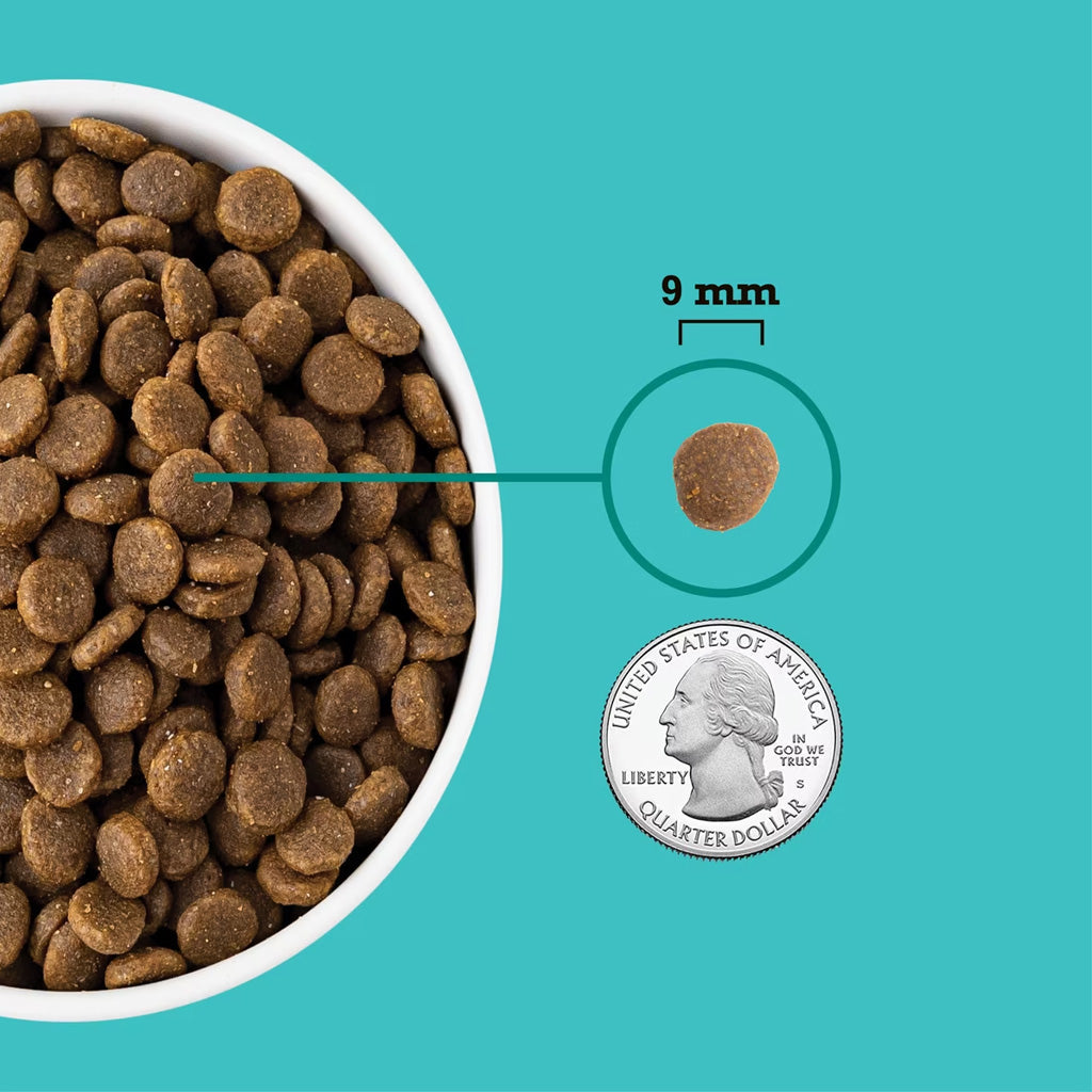 ACANA Wholesome Grains Dry Food for Puppy Sea & Farm Recipe, 4-lb