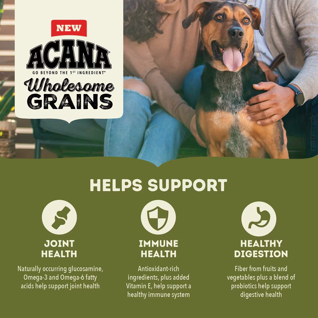 ACANA Wholesome Grains Dry Food Large Breed Adult + Grains, 22.5-lb