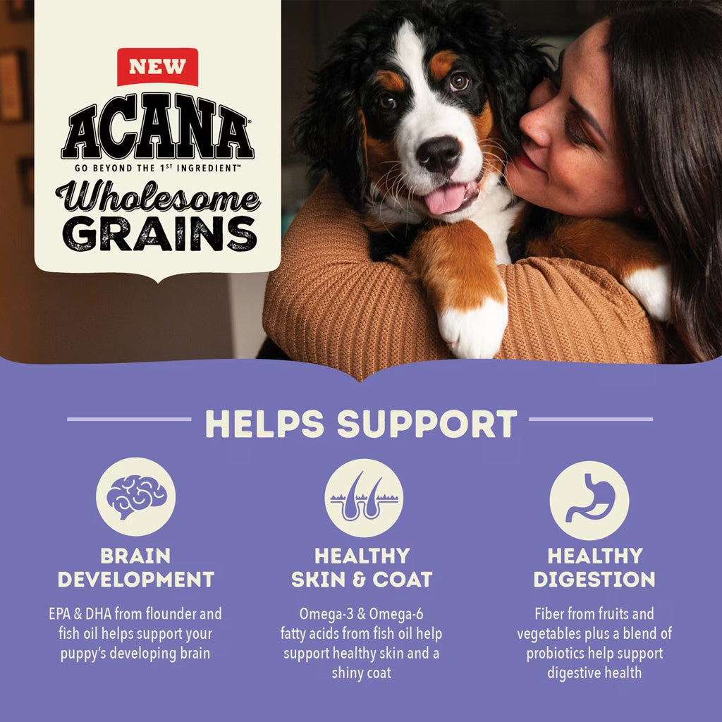 ACANA Wholesome Grains Dry Food Large Breed Puppy + Grains, 22.5-lb