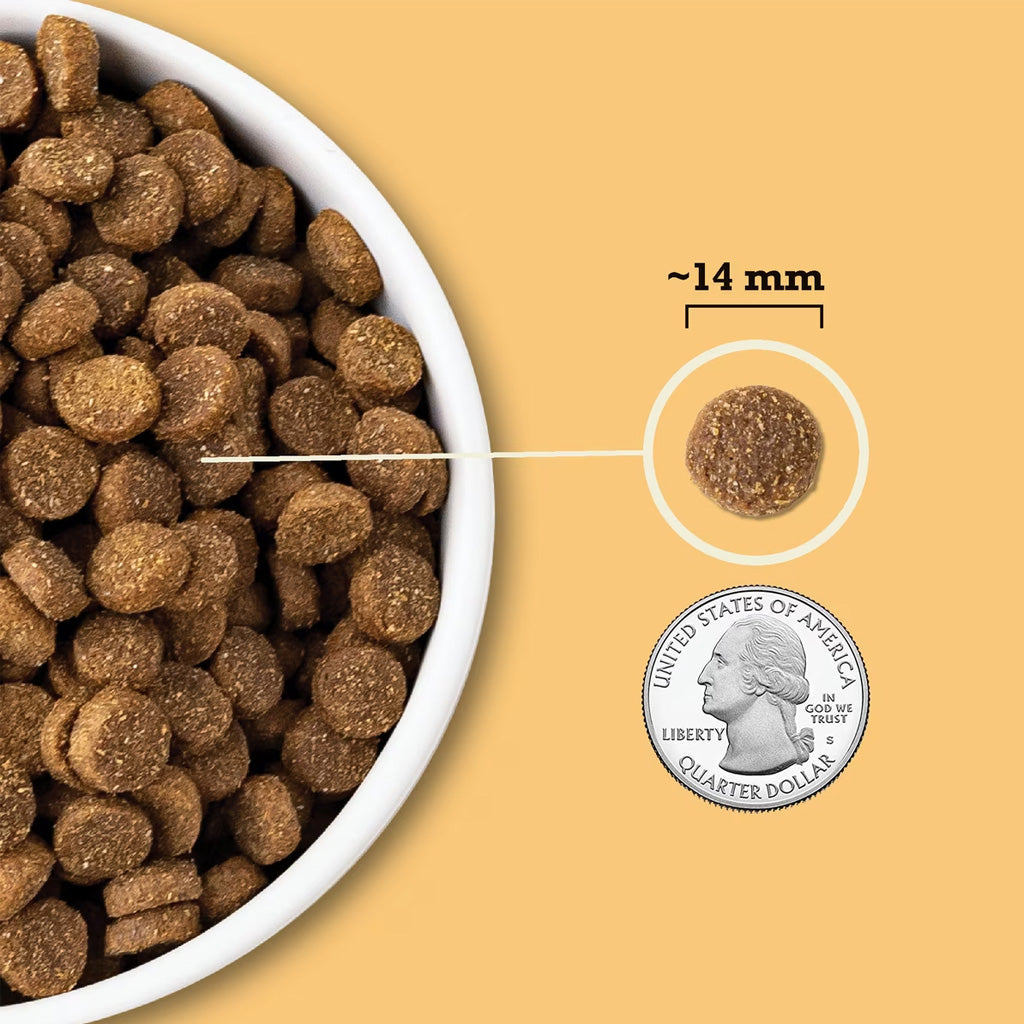 ACANA Wholesome Grains Free-Run Poultry + Grains Dry Dog Food, 4-lb