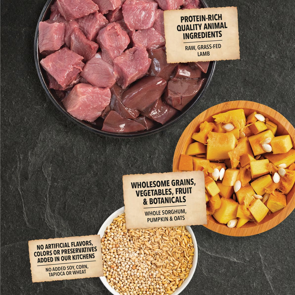 ACANA Wholesome Grains Lamb & Pumpkin Dry Dog Food, 4-lb