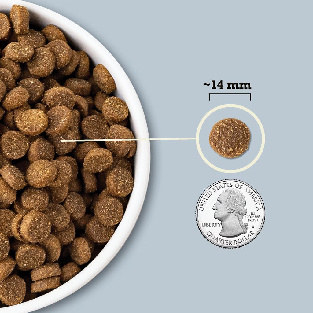 ACANA Wholesome Grains Sea to Stream Dry Dog Food, 4-lb