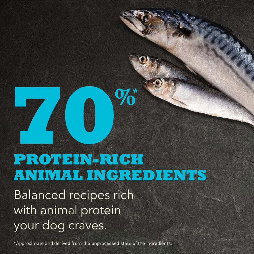 ACANA Wild Atlantic Highest Protein Grain-Free Dry Dog Food
