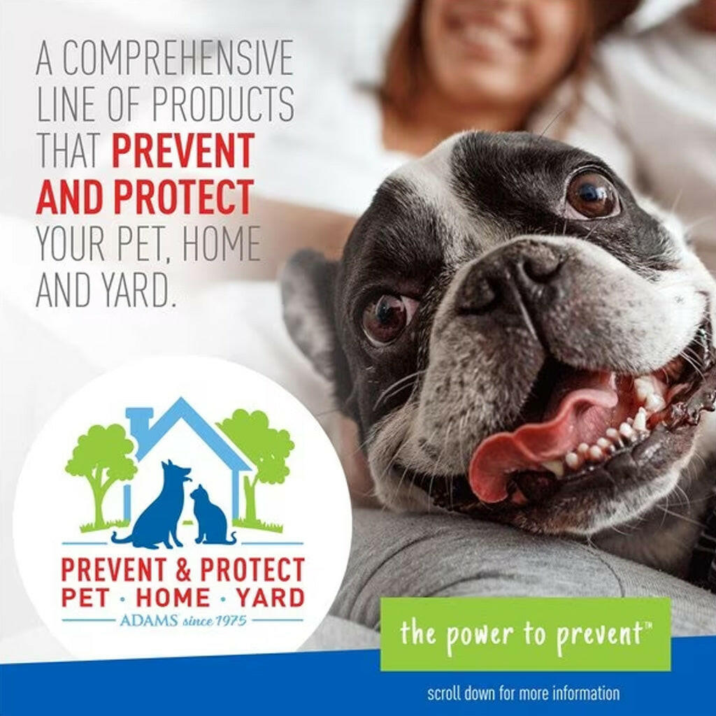 Adams Plus Flea and Tick Shampoo with Precor For Dogs & Cats