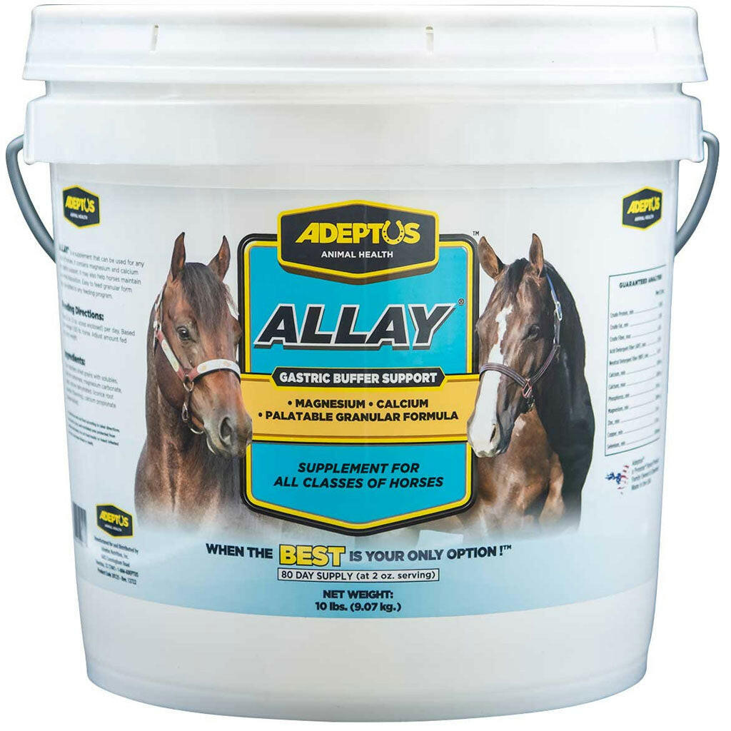 Adeptus Allay Digestion Buffer & Calming Supplement For Horses
